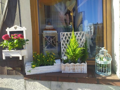 Kamelia. Kwiaciarnia, Kwiaciarnia w Czeladź