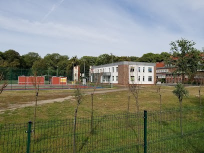 Kwiaciarnia - Teresa Król | Kwiaty, Wieńce, Wiązanki, Sklep, Kwiaciarnia w Toruń