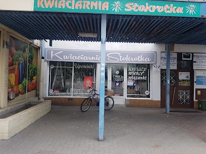 Kwiaciarnia Stokrotka, Kwiaciarnia w Włocławek