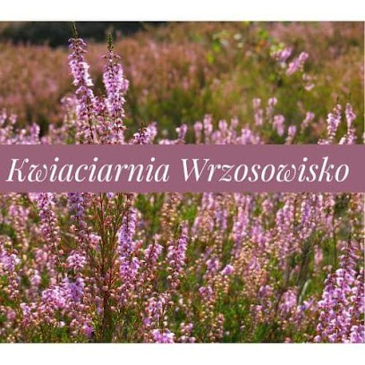 Kwiaciarnia Wrzosowisko, Kwiaciarnia w Piasek