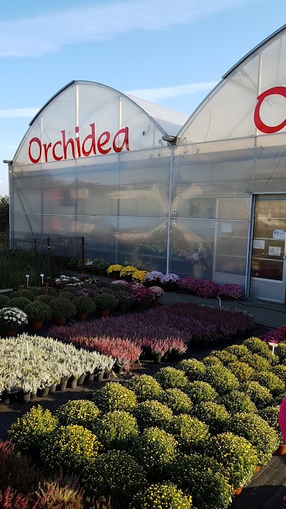 Kwiaciarnia Orchidea, Kwiaciarnia w Kornowac