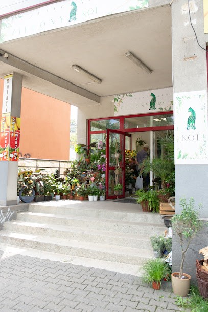 Kwiaciarnia Zielony Kot, Kwiaciarnia w Wrocław