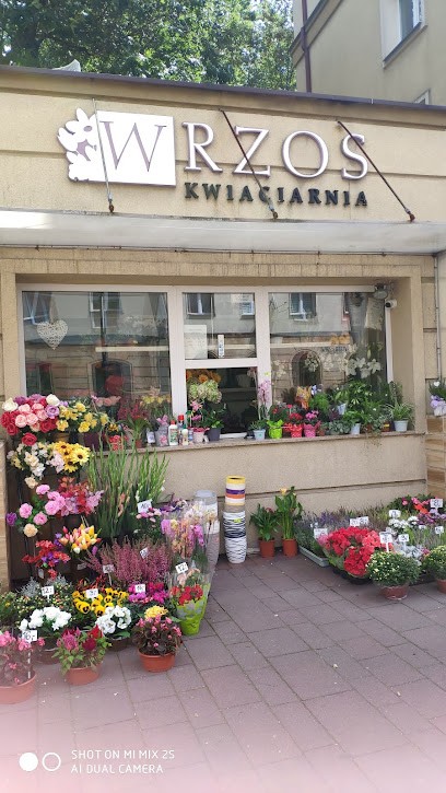 Kwiaciarnia Wrzos, Kwiaciarnia w Tychy