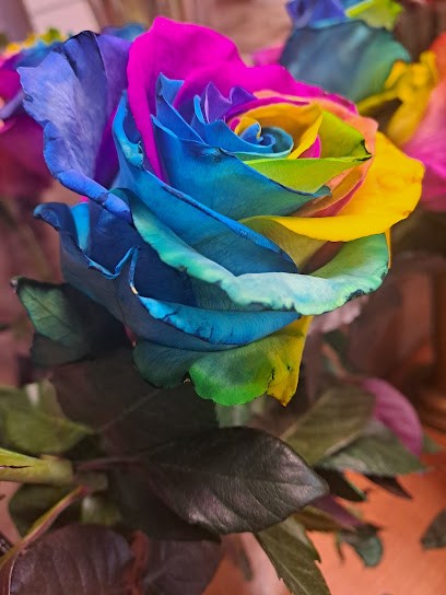 Czerniak Anna. Sprzedaż kwiatów, wieńców, upominków, Kwiaciarnia w Izbica