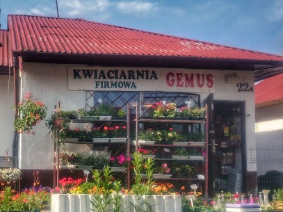 Kwiaciarnia Firmowa Gemus, Kwiaciarnia w Bydgoszcz