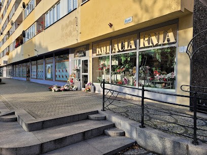 Magnolia. Kwiaciarnia, Kwiaciarnia w Legnica