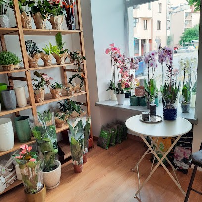 Kwiaciarnia na maja Adrianna Sieńko, Kwiaciarnia w Lublin