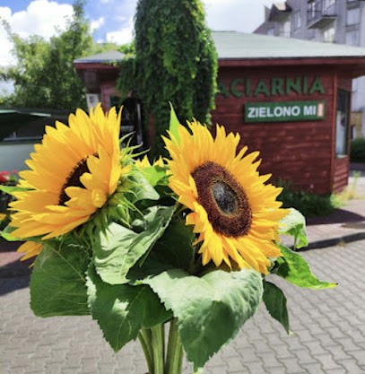 Kwiaciarnia Zielono Mi Mirosława Gajek-Rucińska, Kwiaciarnia w Poznań