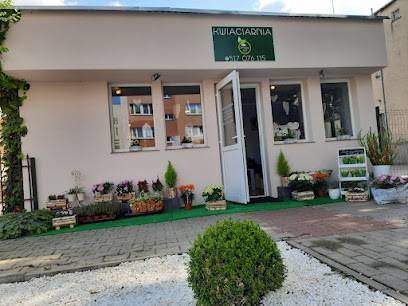 Kwiaciarnia - W Zielone Pędy, Kwiaciarnia w Gryfino