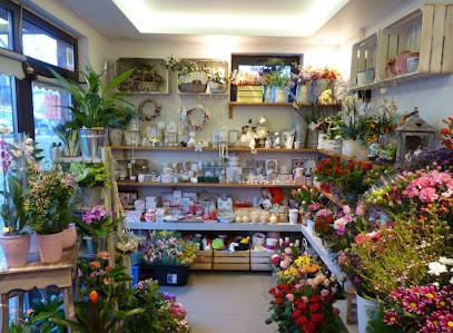 Kwiaciarnia Flora, Kwiaciarnia w Krąków
