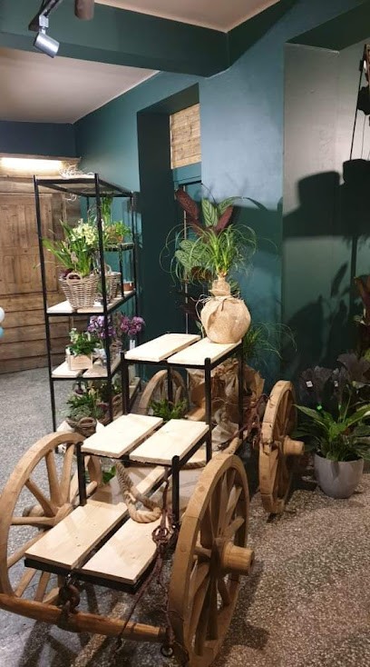 Kwiaciarnia Dziewięćsił, Kwiaciarnia w Nowy Targ