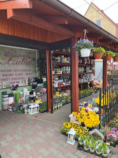 Azalia. Kwiaciarnia. Krupińska A., Kwiaciarnia w Kisielice