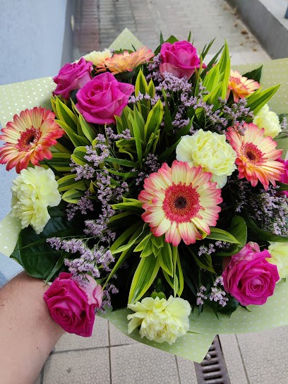 Sasanki S.C. Jolanta Sendłak, Anna Ilkowicz, Kwiaciarnia w Bolesławiec