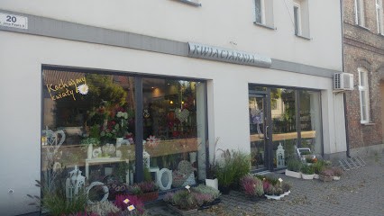 Kwiaciarnia K. Ossowski, Kwiaciarnia w Kaźmierz