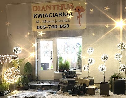 Dianthus. Kwiaciarnia. Maciejewska M., Kwiaciarnia w Poznań