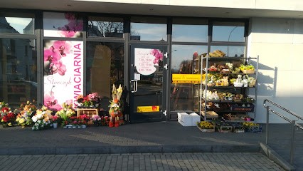 Storczyk. Kwiaciarnia-Florystyka, Kwiaciarnia w Gorlice