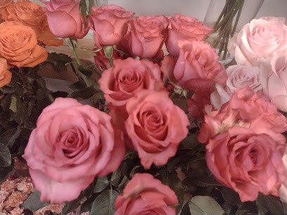 Kwiaciarnia Zakątek - Krzysztof Karpus, Kwiaciarnia w Łeba