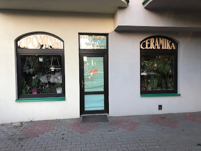 Amber. Petz G., Kwiaciarnia w Grójec