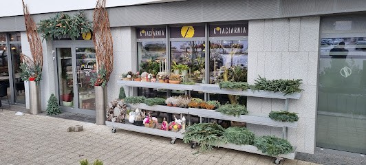 kFiaciarnia Przytulna, Kwiaciarnia w Gdańsk