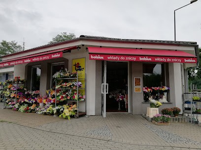 Cyprys, Kwiaciarnia w Kędzierzyn-Koźle