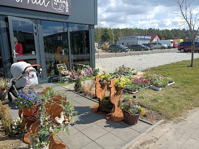 Kwietny Zakamarek, Kwiaciarnia w Zielona Góra