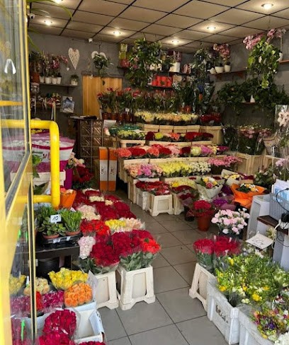 Hallo, Kwiaty ?, Kwiaciarnia w Piekary Śląskie