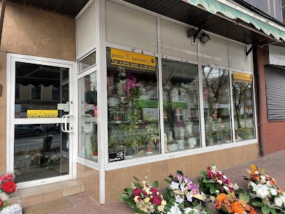 Kwiaciarnia Kamelia Pietrzak T. i spółka, Kwiaciarnia w Grójec