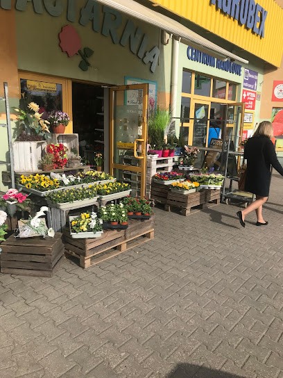 Kwiaciarnia Florecita Agrobex, Kwiaciarnia w Swarzędz