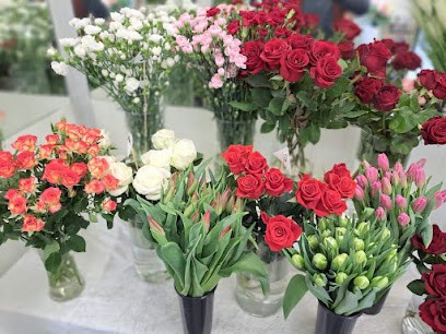 Strefa Florystyki, Kwiaciarnia w Ozorków