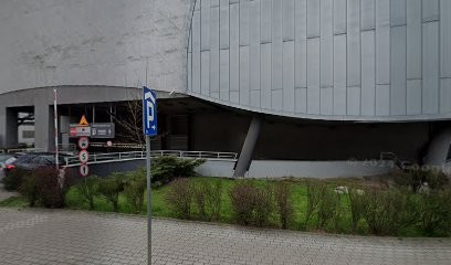 Sklep z wikliną i kwiatami, Kwiaciarnia w Sosnówiec