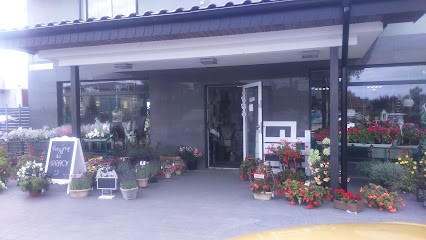 Arleta Hampel, Kwiaciarnia w Bierzglinek