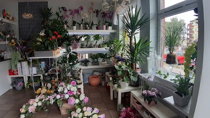 Kwiaciarnia Dorota, Kwiaciarnia w Radzyń Podlaski