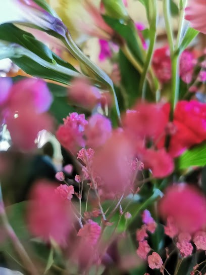 Malwa. Kwiaciarnia. Filipiak R., Kwiaciarnia w Braniewo