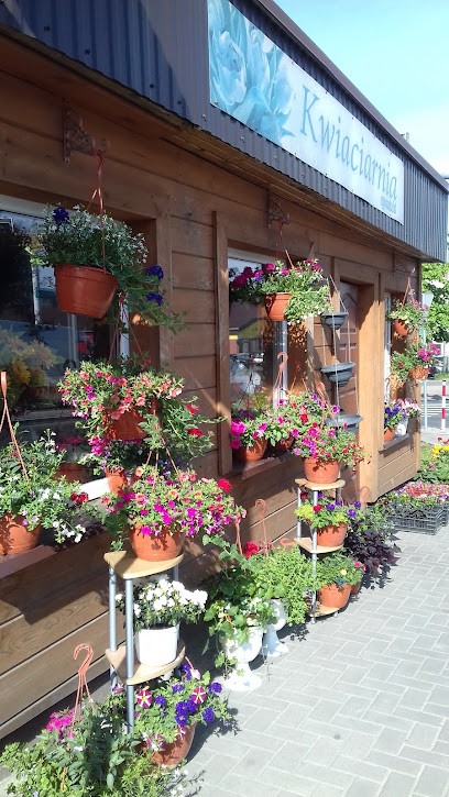 Kwiaciarnia Rumianek, Kwiaciarnia w Białystok