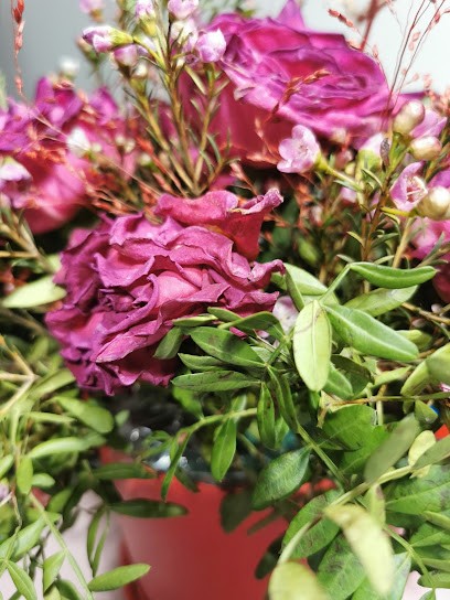 Ewa. Kwiaciarnia. Dorawa E., Kwiaciarnia w Iława