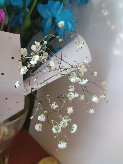 Milczarczyk Małgorzata. Kwiaciarnia, Kwiaciarnia w Pionki