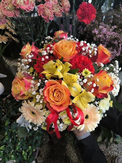 Kwiaciarnia Pachnący Groszek, Kwiaciarnia w Wałbrzych