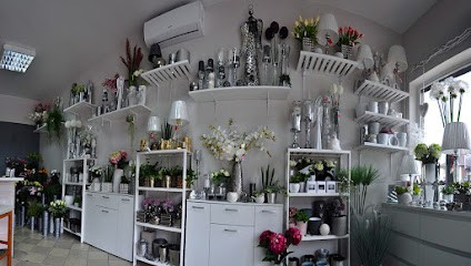 Kwiaciarnia Bacara, Elżbieta Adamczyk, Kwiaciarnia w Kłodzko