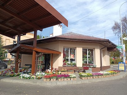 Malwa Kwiaciarnia Agata Pinda, Kwiaciarnia w Dubiecko