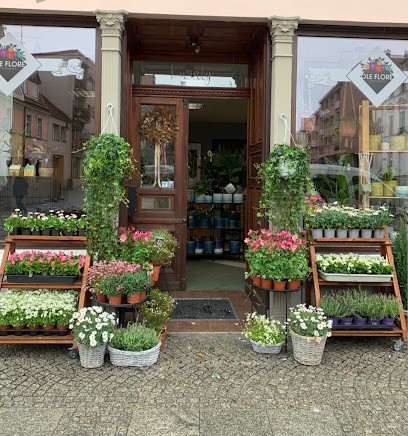 Pracownia Florystyczna Ole Flore, Kwiaciarnia w Oleśnica