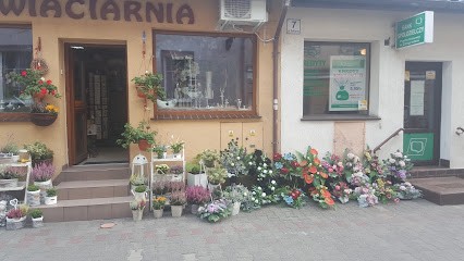 Kwiaciarnia Na Deptaku w Żmigrodzie, Kwiaciarnia w Żmigród