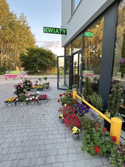 Kwiaciarnia Zielona Sofa, Kwiaciarnia w Wrocław