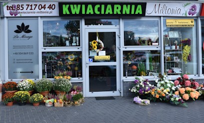 Kwiaciarnia - Miltonia, Kwiaciarnia w Białystok