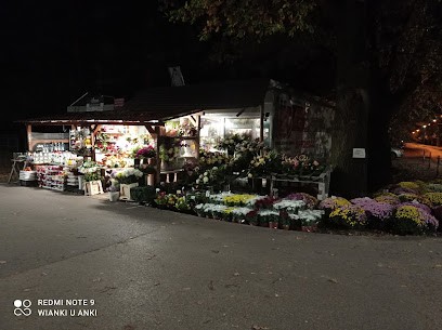 WIANKI U ANKI Anna Wtorkowska, Kwiaciarnia w Nadarzyn