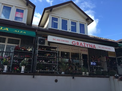 KWIACIARNIA ALFA Wieńce Kwiaty doniczkowe Balony z helem, Kwiaciarnia w Ostrów Mazowiecka