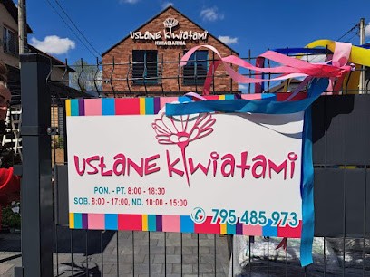 Usłane Kwiatami- Kwiaciarnia w starym stylu Błaszkiewicz-Więcław Ewa, Kwiaciarnia w Chrzanów