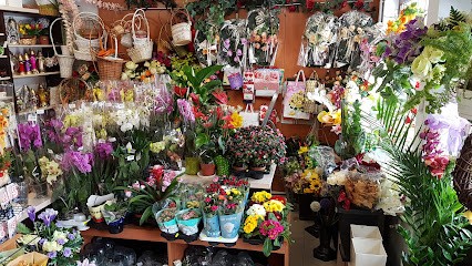 Kwiaciarnia Kamelia, Kwiaciarnia w Jarosław