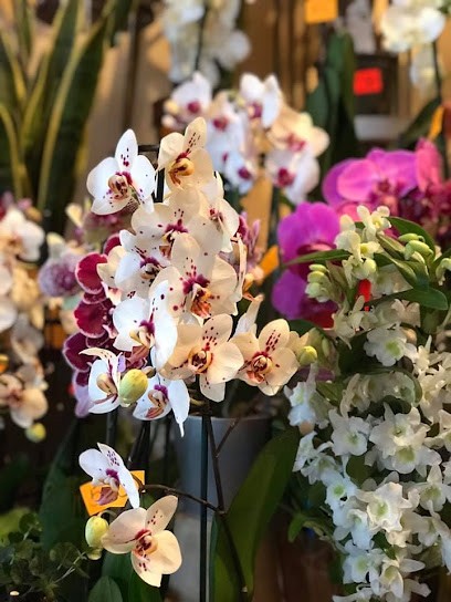 Kwiaciarnia Beata, Kwiaciarnia w Aleksandrów Łódzki