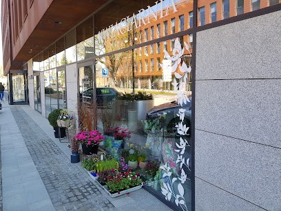 Kwiaciarnia Okno, Kwiaty i My, Kwiaciarnia w Gdańsk