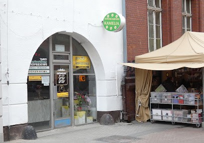 Kwiaciarnia Kamelia, Kwiaciarnia w Katowice